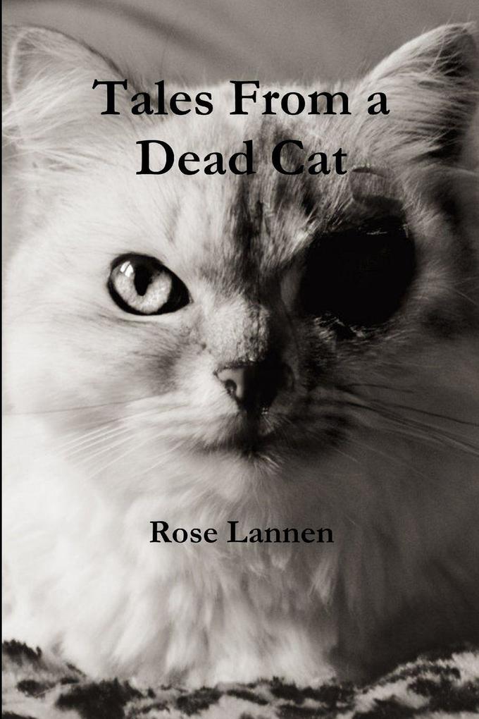 Tales From a Dead Cat