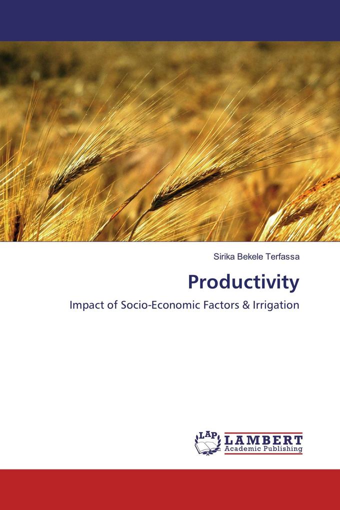 Productivity