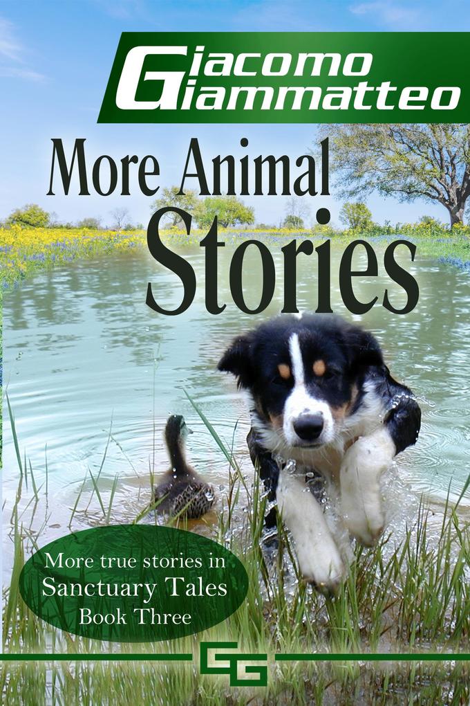 More Animal Stories Sanctuary Tales III