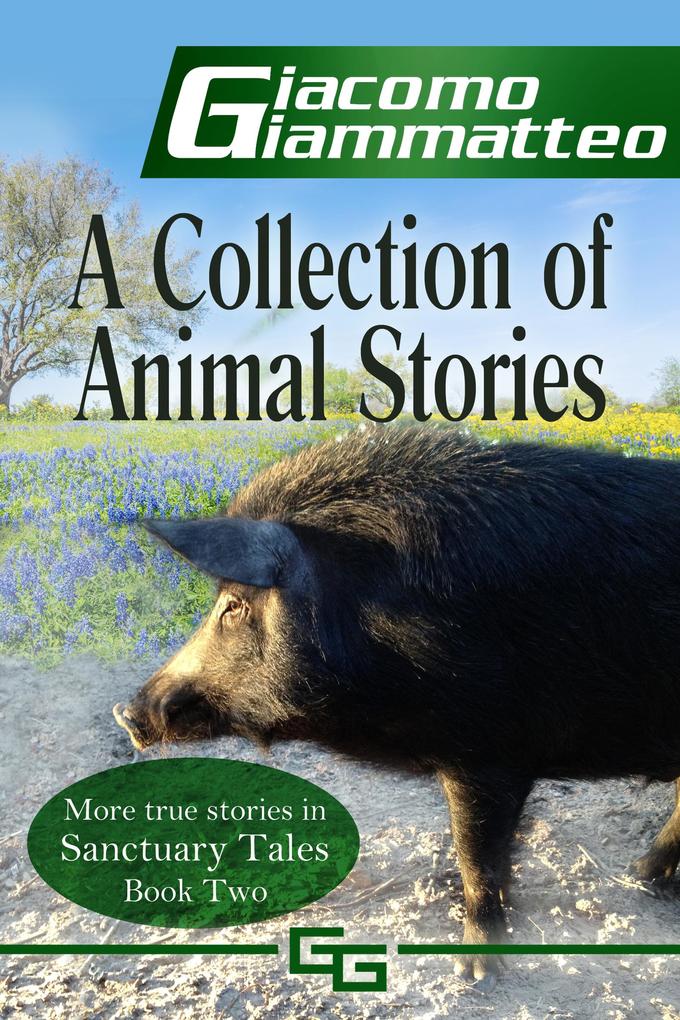 A Collection of Animal Stories