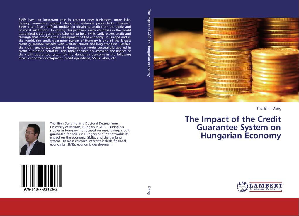 The Impact of the Credit Guarantee System on Hungarian Economy