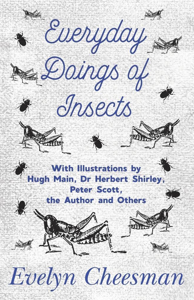 Everyday Doings of Insects - With Illustrations by Hugh Main Dr Herbert Shirley Peter Scott the Author and Others