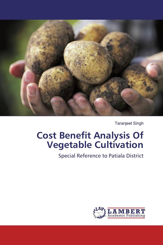 Cost Benefit Analysis Of Vegetable Cultivation