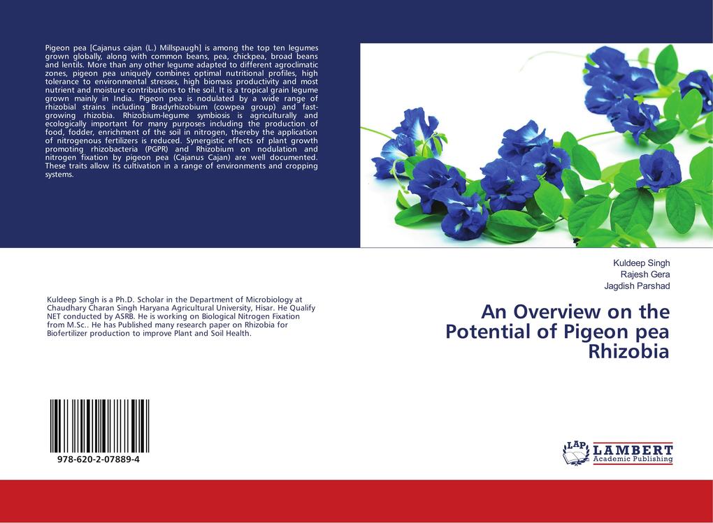 An Overview on the Potential of Pigeon pea Rhizobia