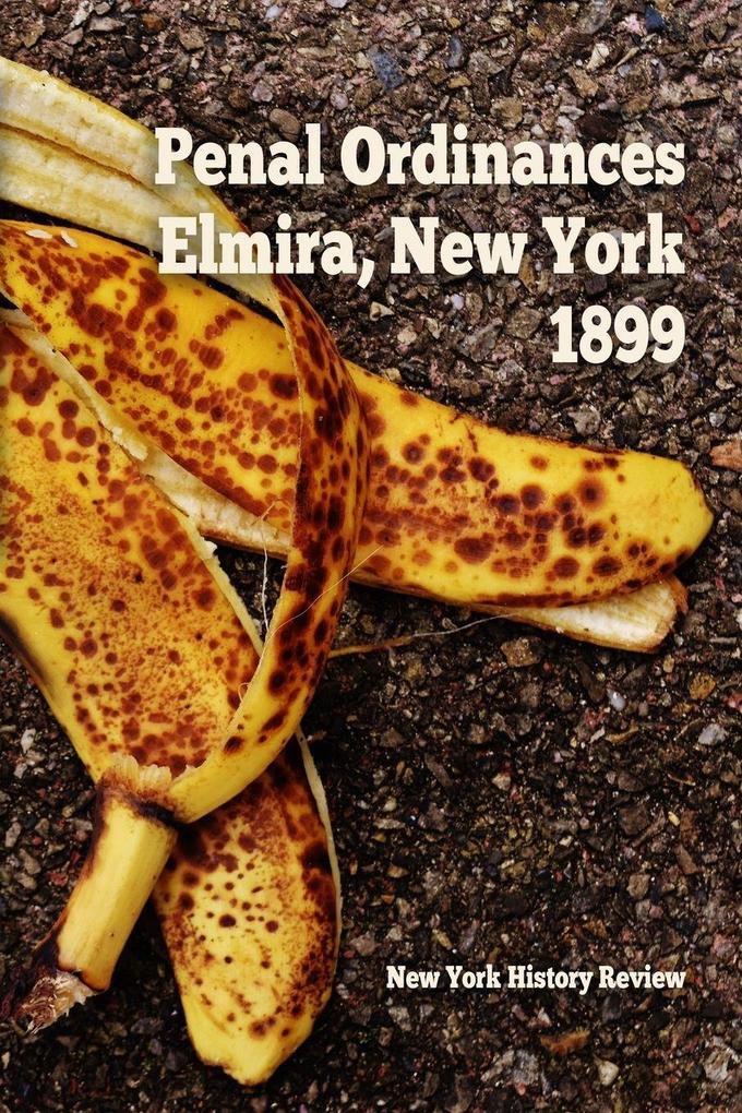 Penal Ordinances of Elmira New York 1899