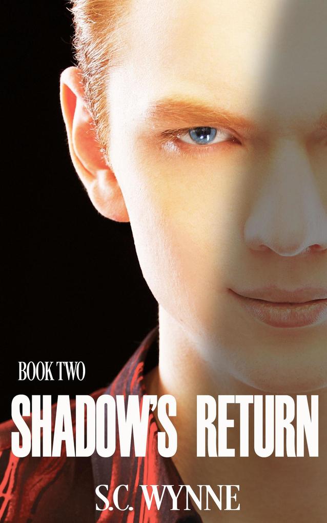 Shadow's Return (Psychic Mysteries Series #2)