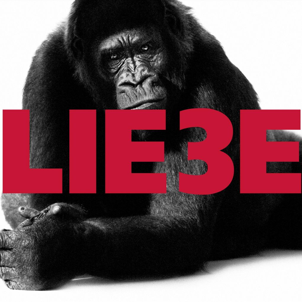 Hagen Rether Liebe 3