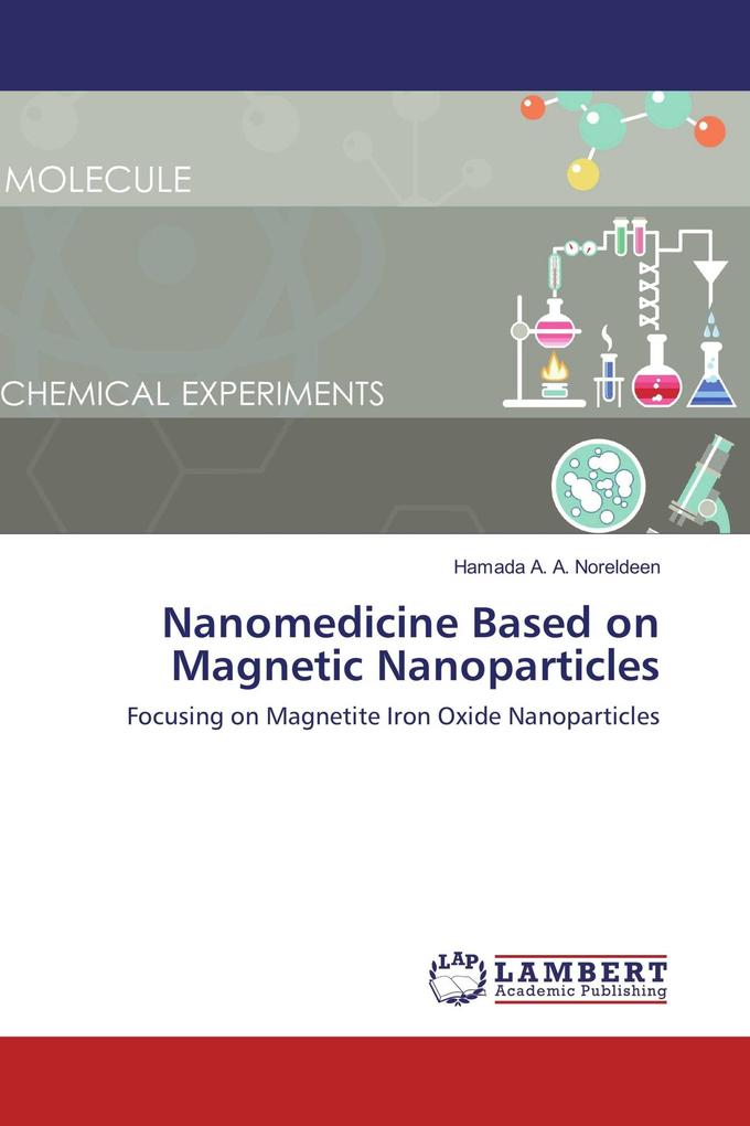 Nanomedicine Based on Magnetic Nanoparticles
