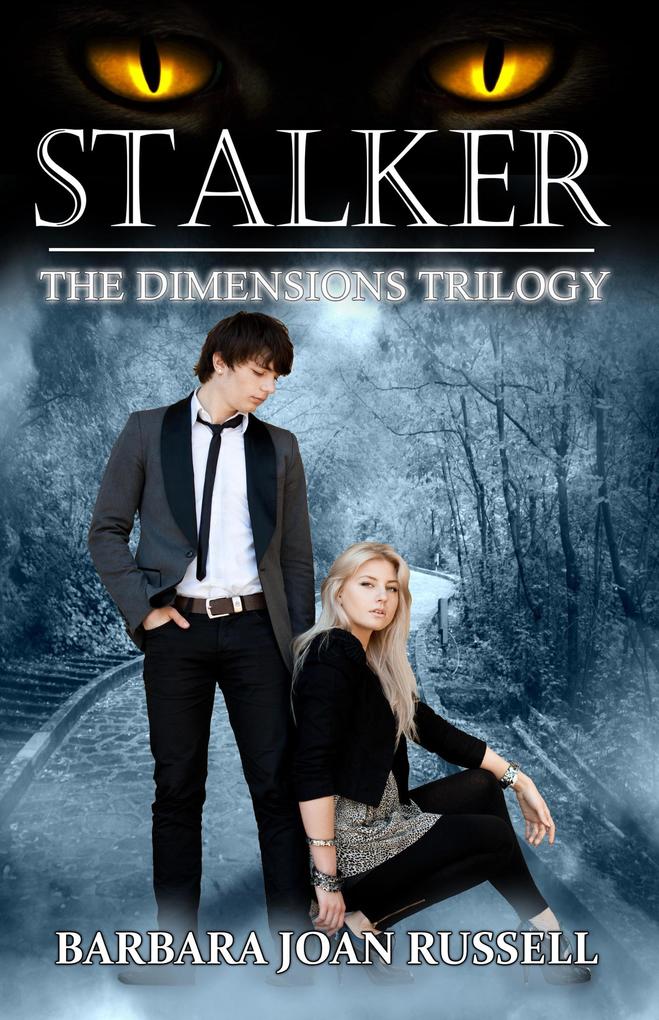 Stalker (The Dimensions #2)