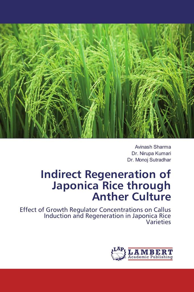 Indirect Regeneration of Japonica Rice through Anther Culture