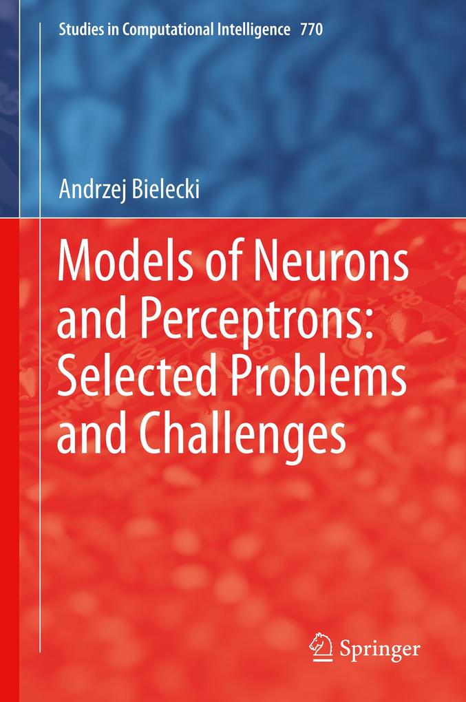 Models of Neurons and Perceptrons: Selected Problems and Challenges