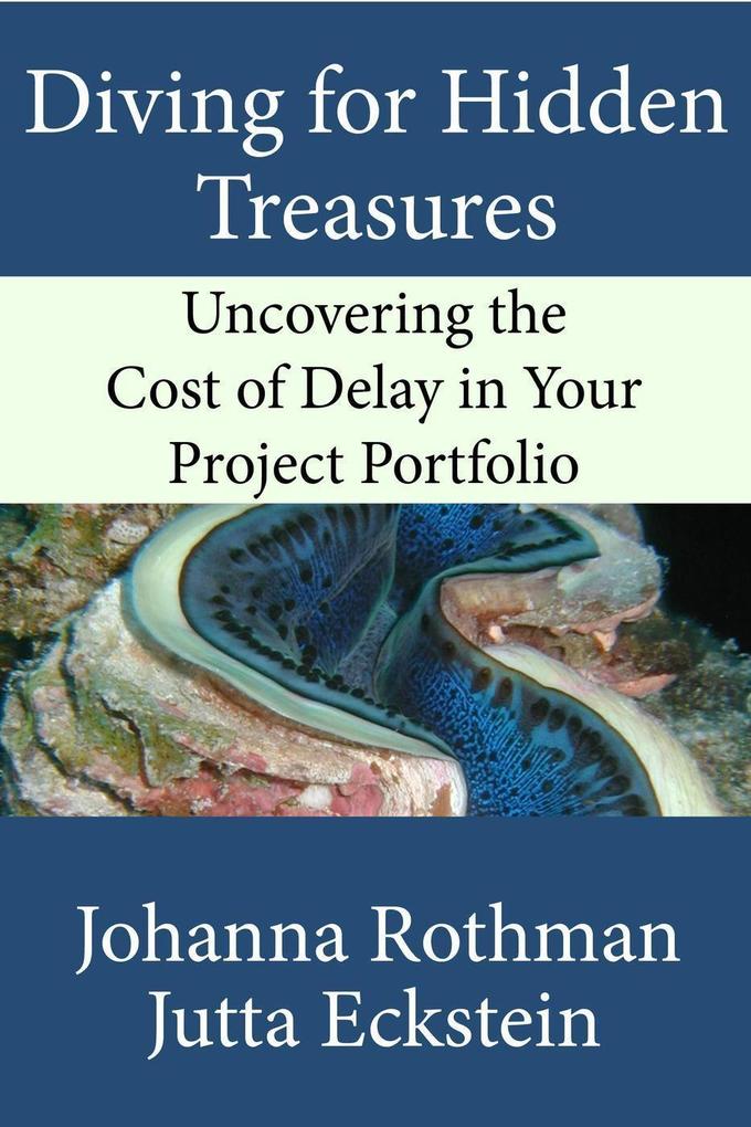 Diving for Hidden Treasures: Uncovering the Cost of Delay in Your Project Portfoilo