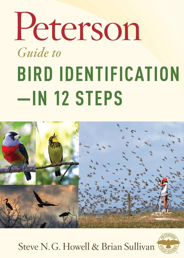 Peterson Guide to Bird Identification-in 12 Steps