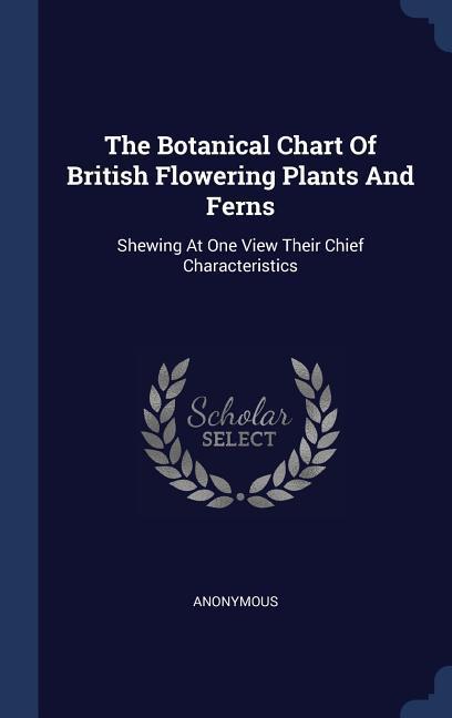 The Botanical Chart Of British Flowering Plants And Ferns