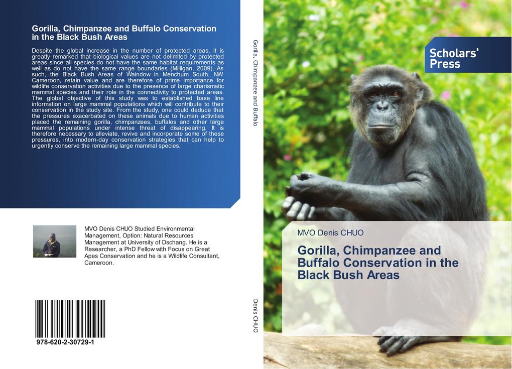 Gorilla Chimpanzee and Buffalo Conservation in the Black Bush Areas