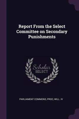 Report From the Select Committee on Secondary Punishments