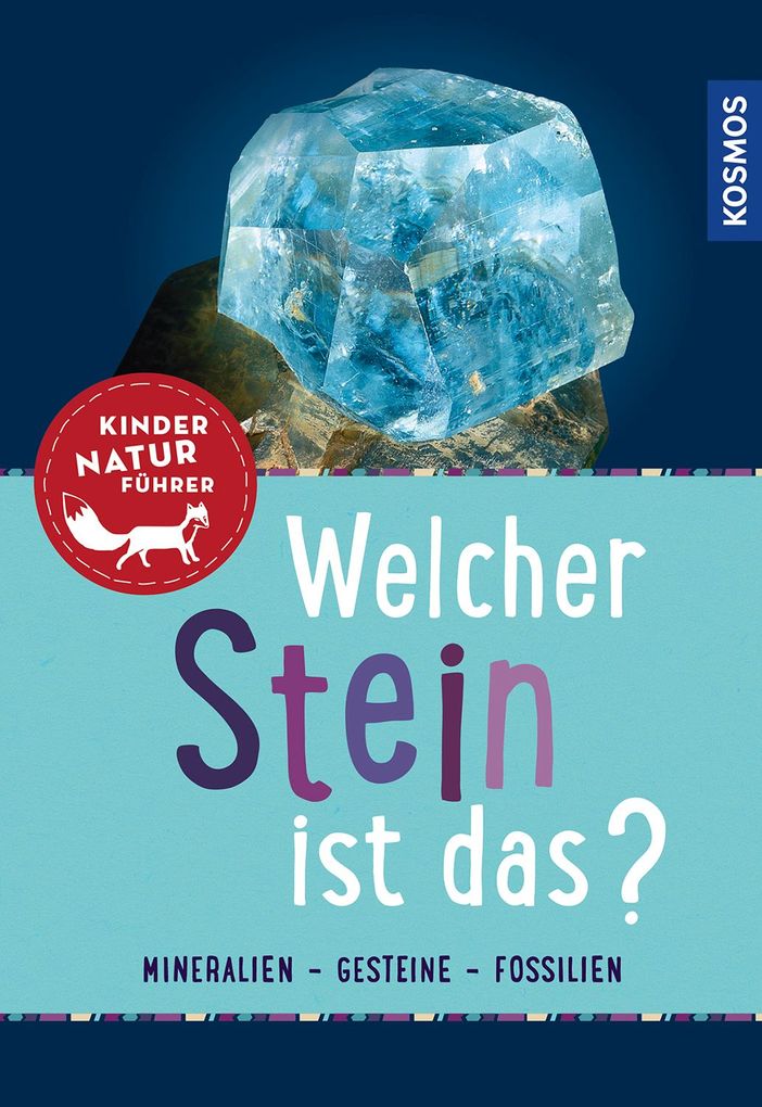 Image of Welcher Stein ist das? Kindernaturführer