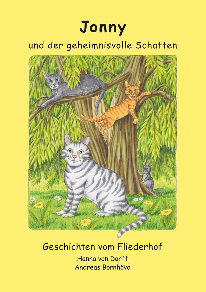 Jonny und der geheimnisvolle Schatten