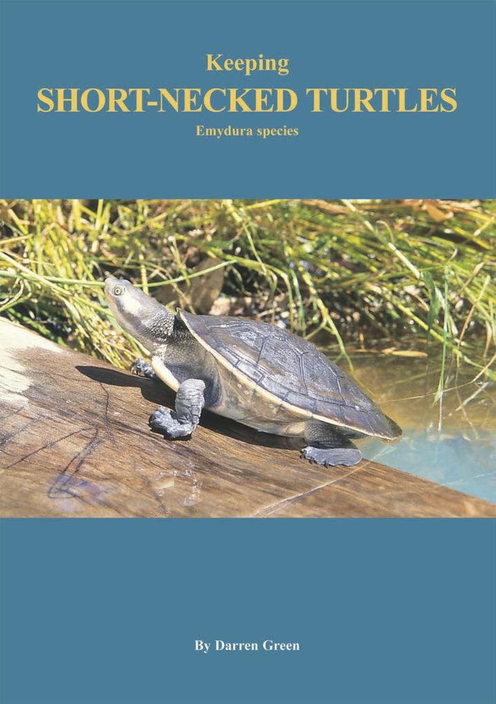 Keeping Short-necked Turtles Emydura species