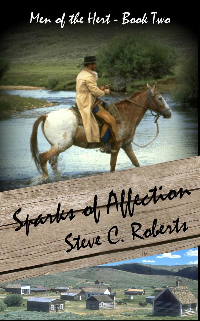 Sparks of Affection (Men of the Heart #2)