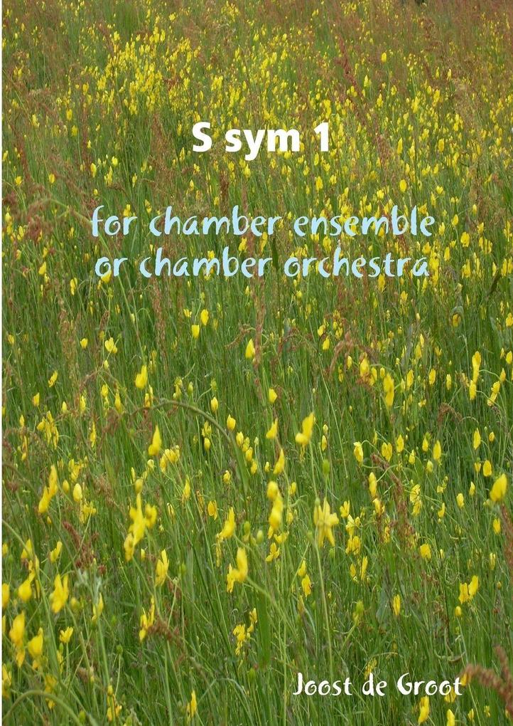 S sym 1 for chamber ensemble or chamber orchestra