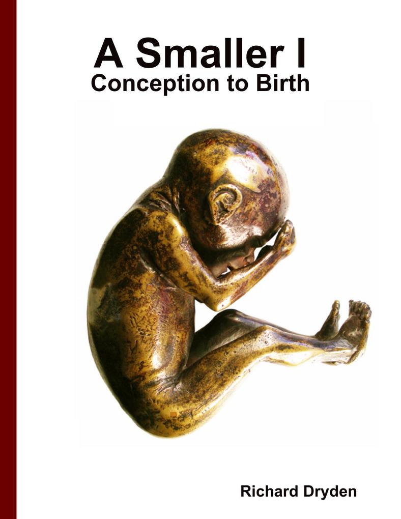 A Smaller I: Conception to Birth