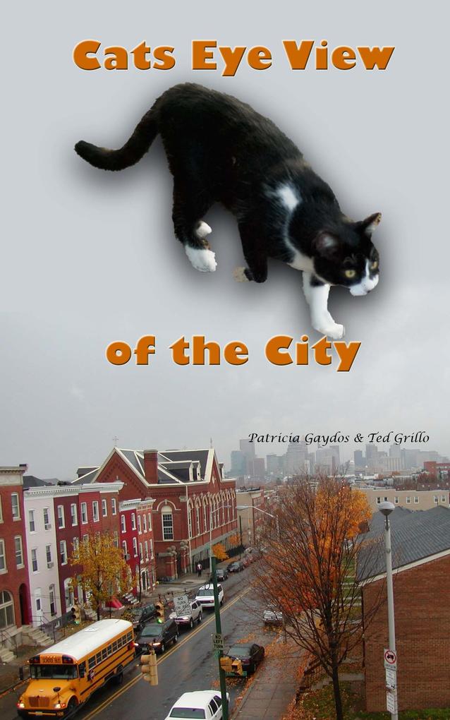 A Cat‘s Eye View of the City
