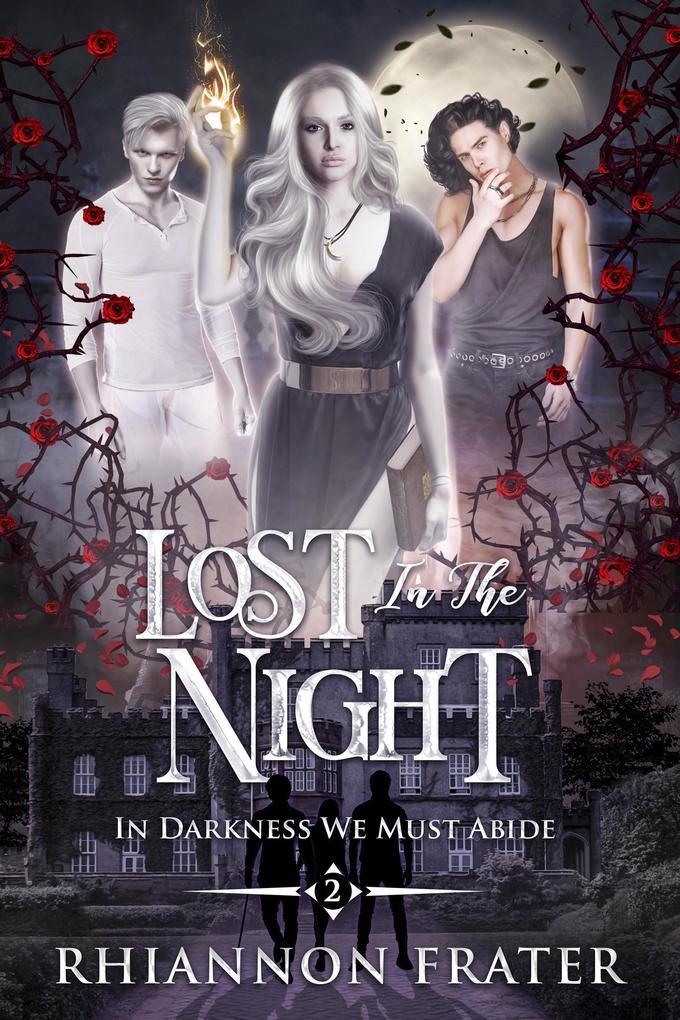 Lost In the Night (In Darkness We Must Abide #2)