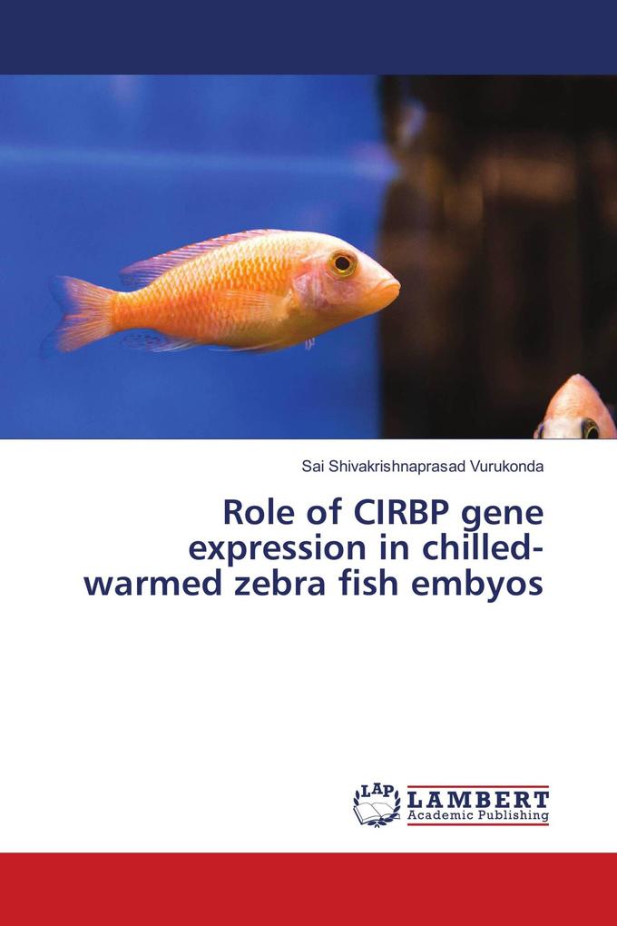 Role of CIRBP gene expression in chilled-warmed zebra fish embyos
