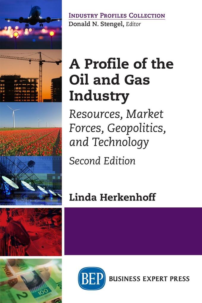 A Profile of the Oil and Gas Industry Second Edition