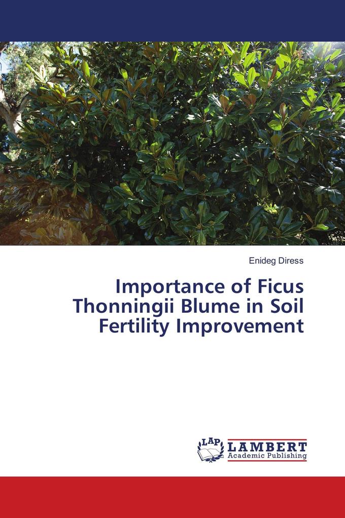 Importance of Ficus Thonningii Blume in Soil Fertility Improvement