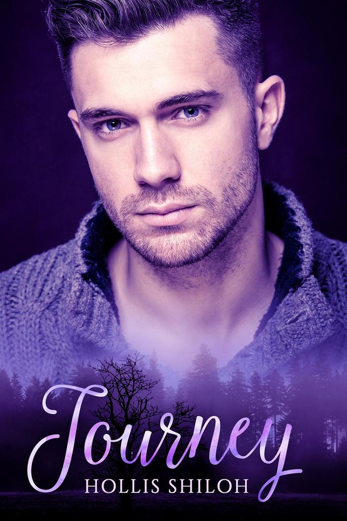 Journey (shifters and partners #10)