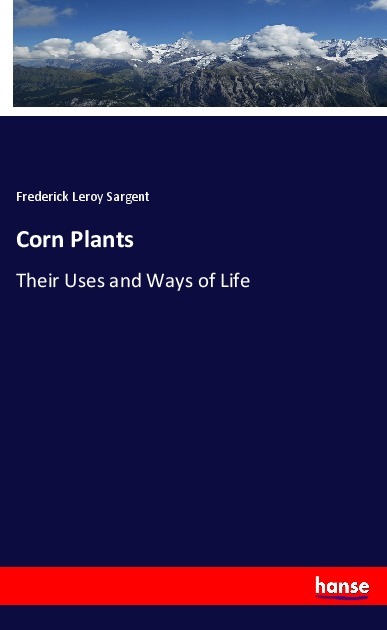 Image of Corn Plants
