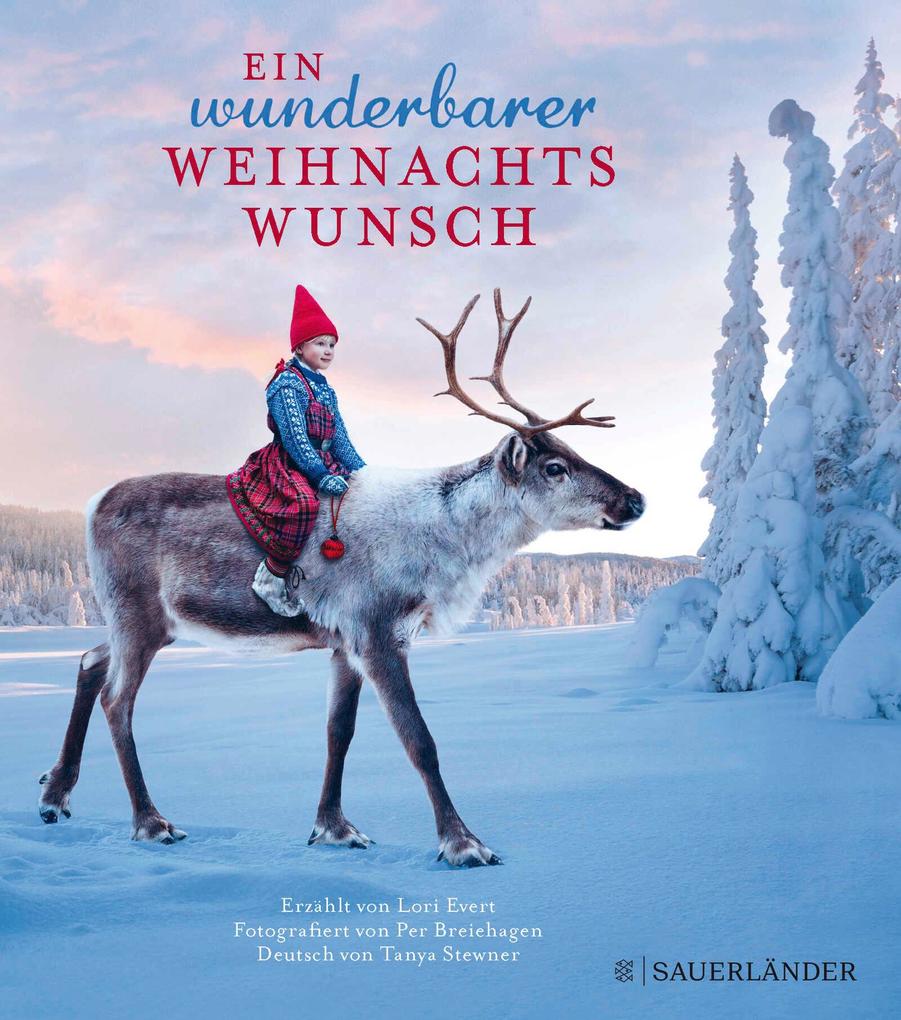 Image of Ein wunderbarer Weihnachtswunsch. Miniausgabe