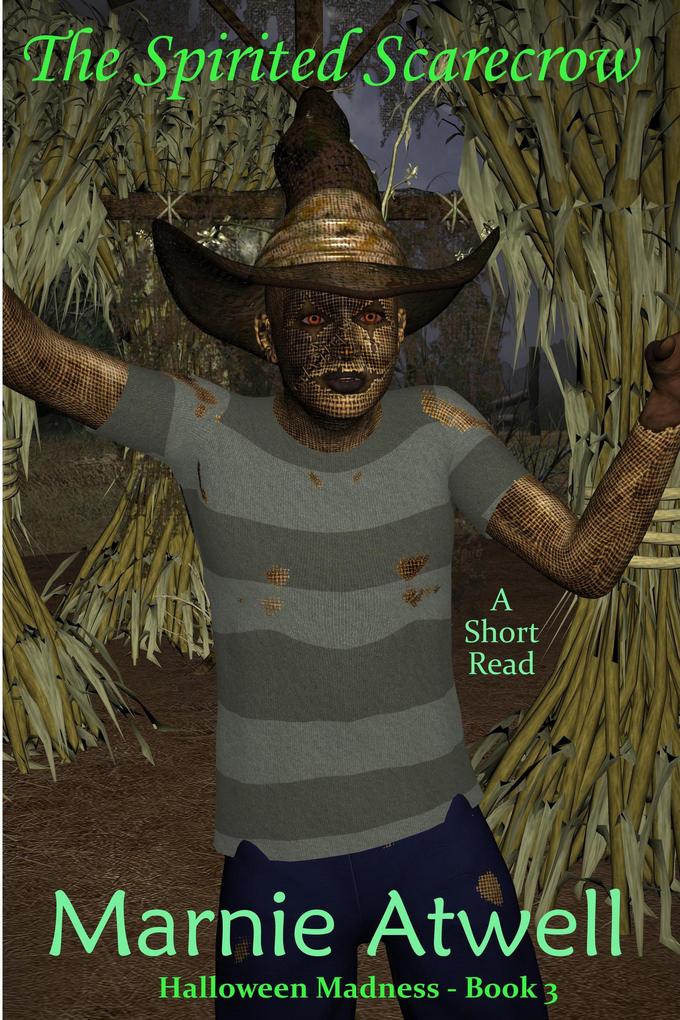 The Spirited Scarecrow (Halloween Madness #3)