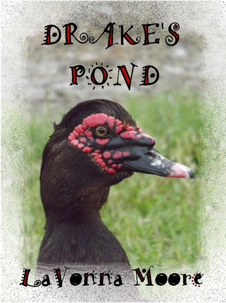 Drake‘s Pond