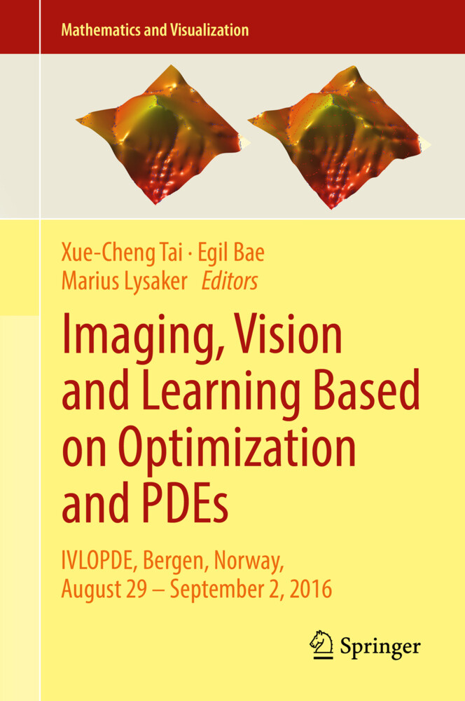 Imaging Vision and Learning Based on Optimization and PDEs