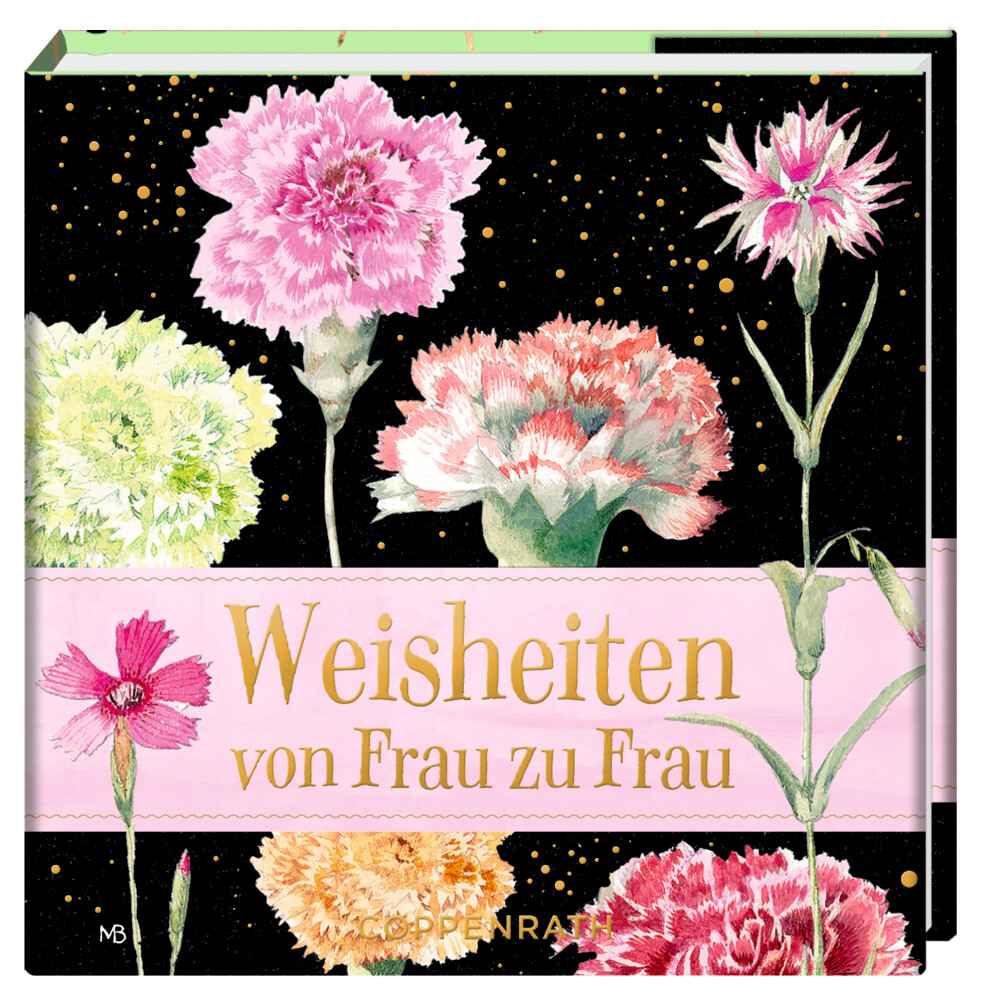 Image of Weisheiten von Frau zu Frau