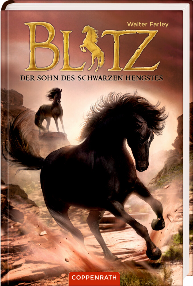 Image of Blitz (Bd. 3)