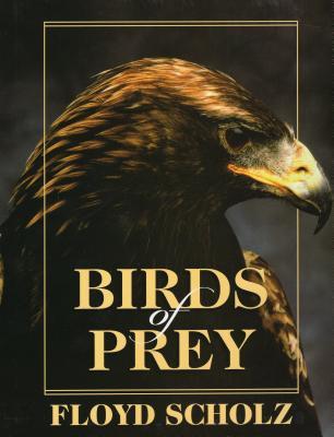 Birds of Prey - Floyd Scholz