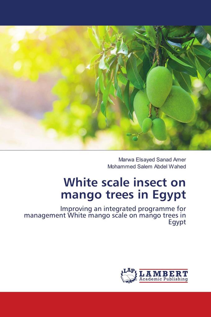 White scale insect on mango trees in Egypt