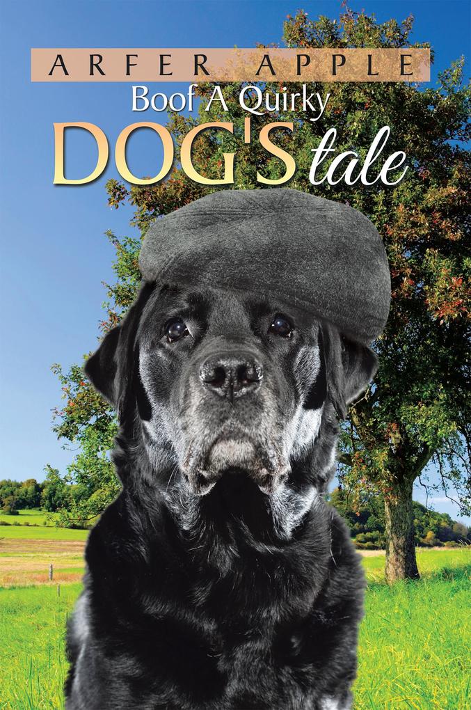 Boof a Quirky Dog‘S Tale