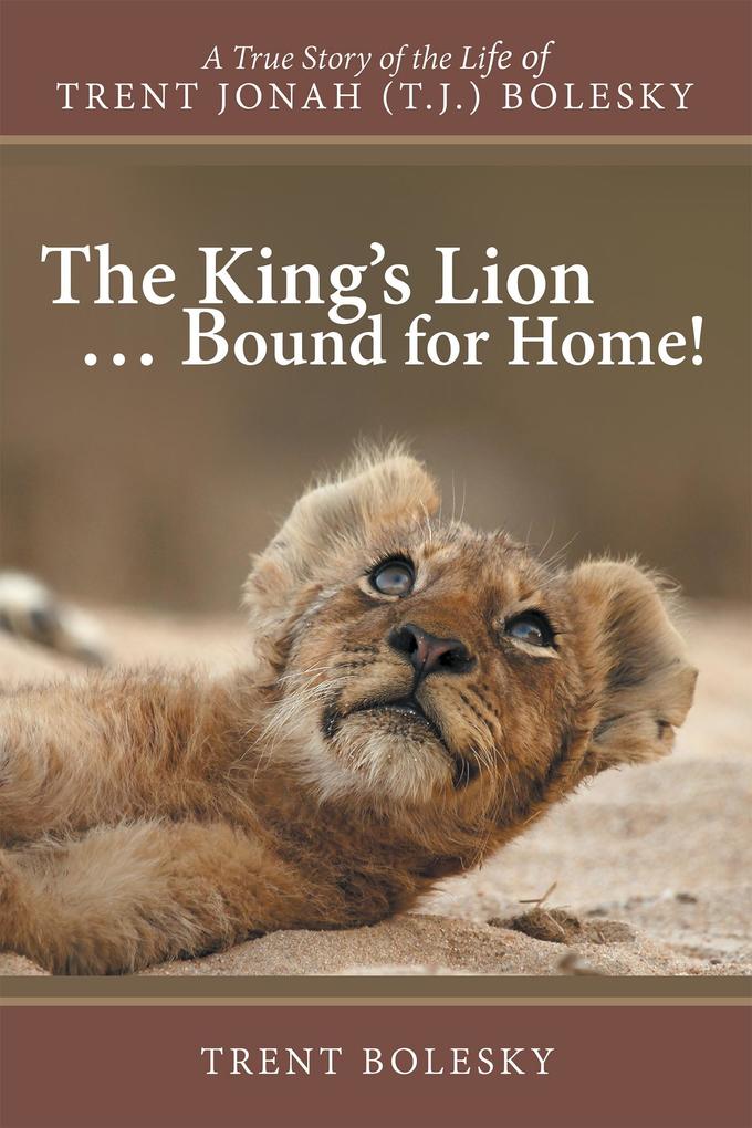 King‘S Lion ... Bound for Home!