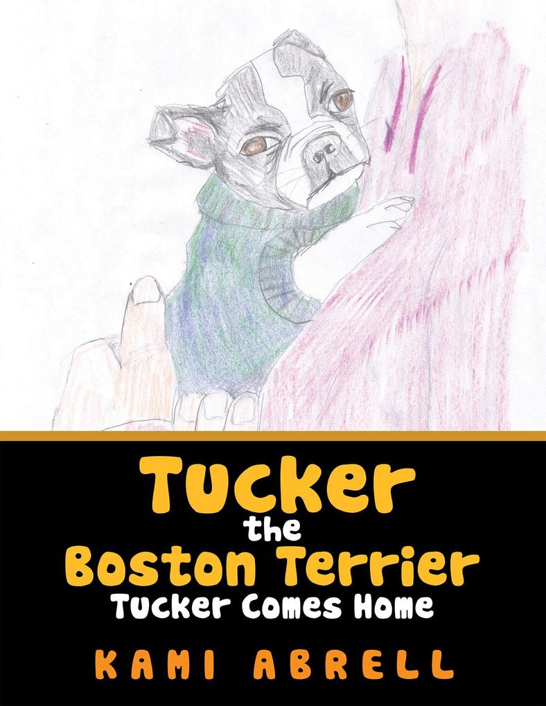 Tucker the Boston Terrier