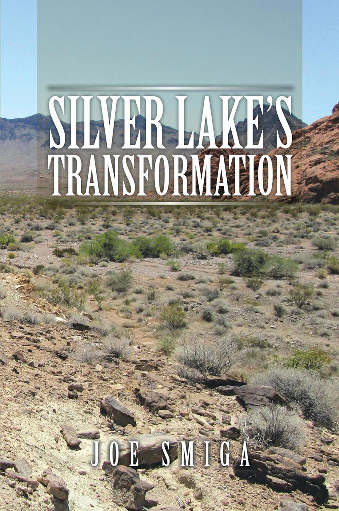 Silver Lake‘S Transformation