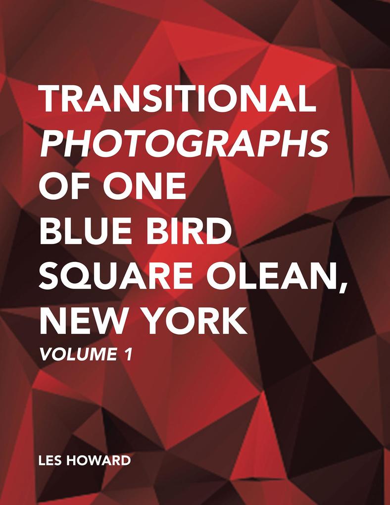 Transitional Photographs of One Blue Bird Square Olean New York
