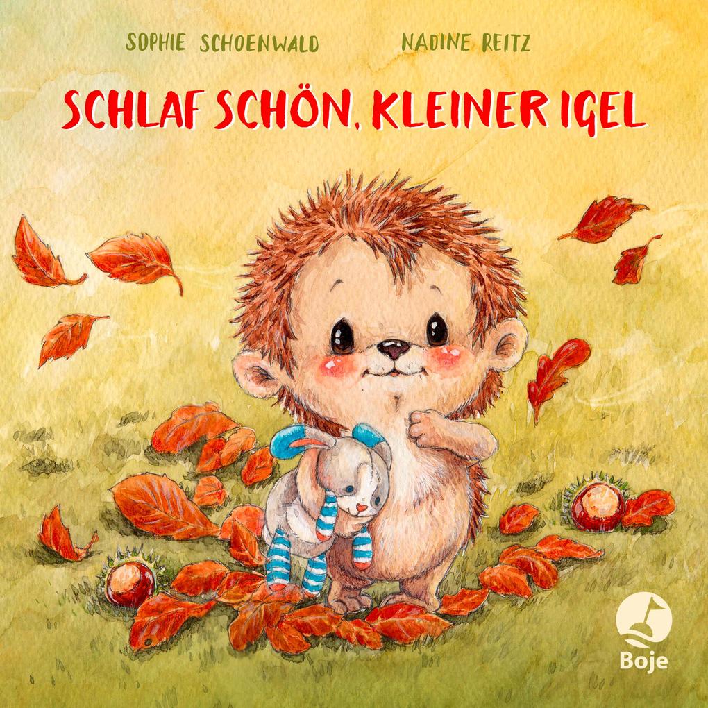 Schlaf schön kleiner Igel