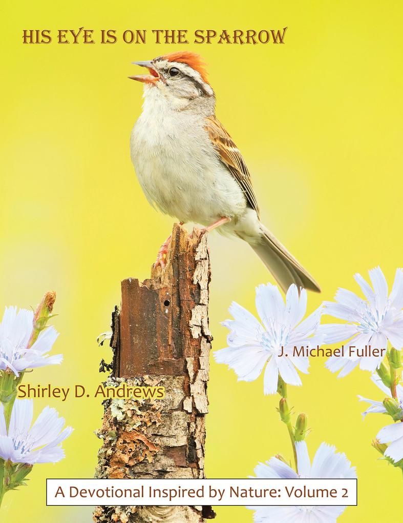 HIS Eye is on the Sparrow