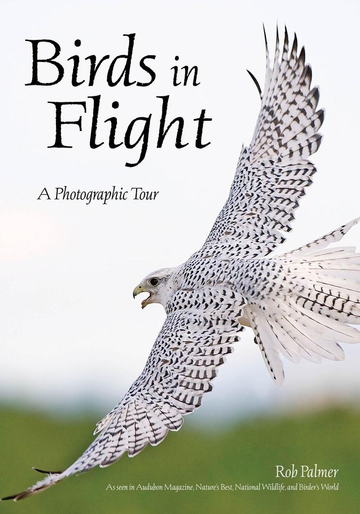 Birds in Flight: A Photographic Essay of Hawks Ducks Eagles Owls Hummingbirds & More