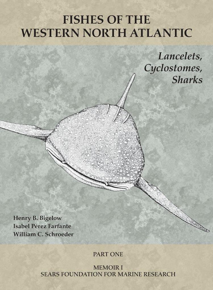 Lancelets Cyclostomes Sharks